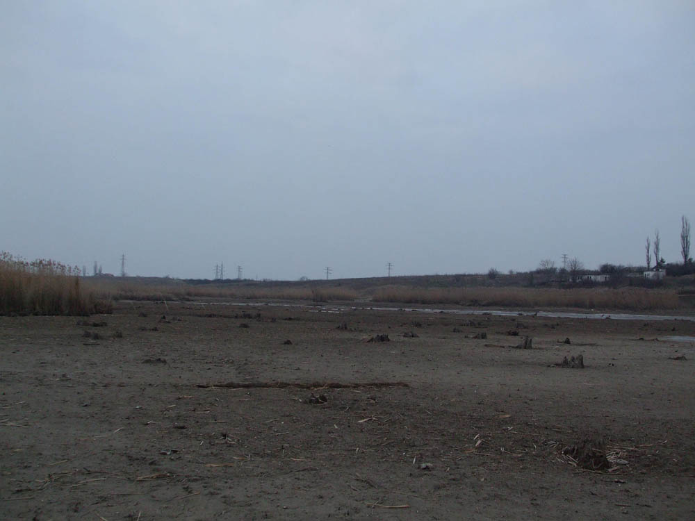 TANCABESTI SECAT - DSCF3456.jpg